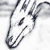 :iconnirvanagenesis: