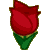 :iconnirvina: