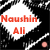:iconnishiie-pie: