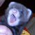 :iconNissanLady: