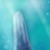 :iconnissans8line: