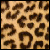 :iconnita-nitro: