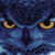 :iconniteowl360: