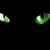 :iconnitetimebird: