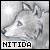 :iconnitida: