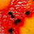 :iconnitopia: