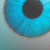 :iconnitroed: