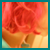 :iconnivroem:
