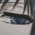 :iconniwachika: