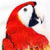 :iconnix-alba:
