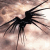 :iconniximor: