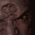 :iconnjanim8tor: