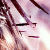:iconnjein: