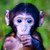 :iconnjharrison: