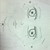 :iconnjood55: