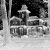 :iconnjwalton001:
