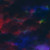 :iconnlfrogger: