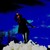 :iconnlhall3: