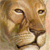 NLuty :iconnluty: