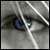 :iconnmorrison:
