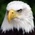 NMWoodcarver :iconnmwoodcarver:
