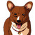 :iconnnufergs: