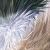 :iconno-crayons: