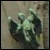 :iconno-moore: