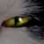 :iconno-one-in-your-eyes: