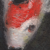 :iconno-pressure: