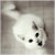 :iconno1swife: