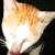 :iconnoad18: