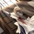 :iconnoah-of-despair: