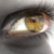 :iconnoasharvit: