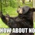 :iconnobearplz: