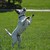 :iconnobekthedog: