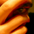 :iconnobi85: