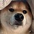 :iconnoblessedeusiratus: