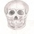 :iconnobody1245: