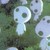:iconnoburo92: