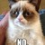 :iconnocatmemeplz: