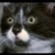 :iconnoctiflorous: