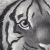 :iconnoctis-lupus: