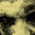 :iconnoctivagent: