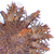 :iconnoctunal-doodlez: