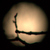 :iconnocturnal-amnesia: