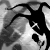 :iconnocturnal-jester: