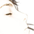 :iconnocturnal-kat: