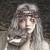 :iconnocturnalblossom: