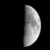 :iconnocturnaldawn: